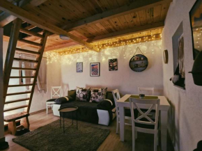 Casa Vidica